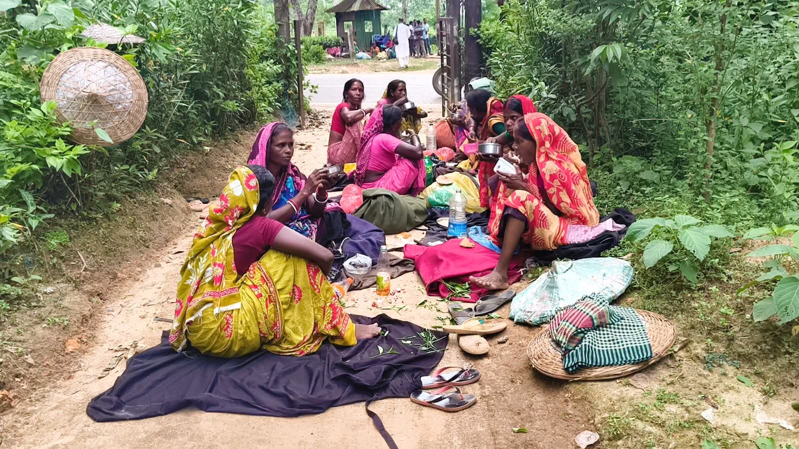 চা-পাতার ভর্তা ‘পাতিচখা’ আর রুটি খেয়ে কাটে চা-শ্রমিকের দুপুর। স্ট্রিম ছবি
