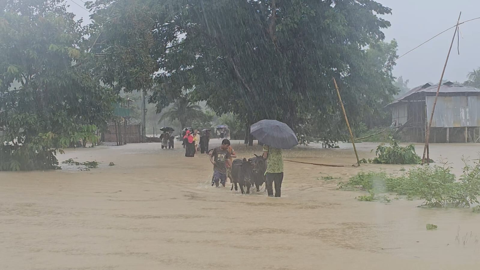 টানা বৃষ্টিতে প্লাবিত পাহাড়ের নিম্নাঞ্চল, ধসের শঙ্কা জনমনে। স্ট্রিম ছবি