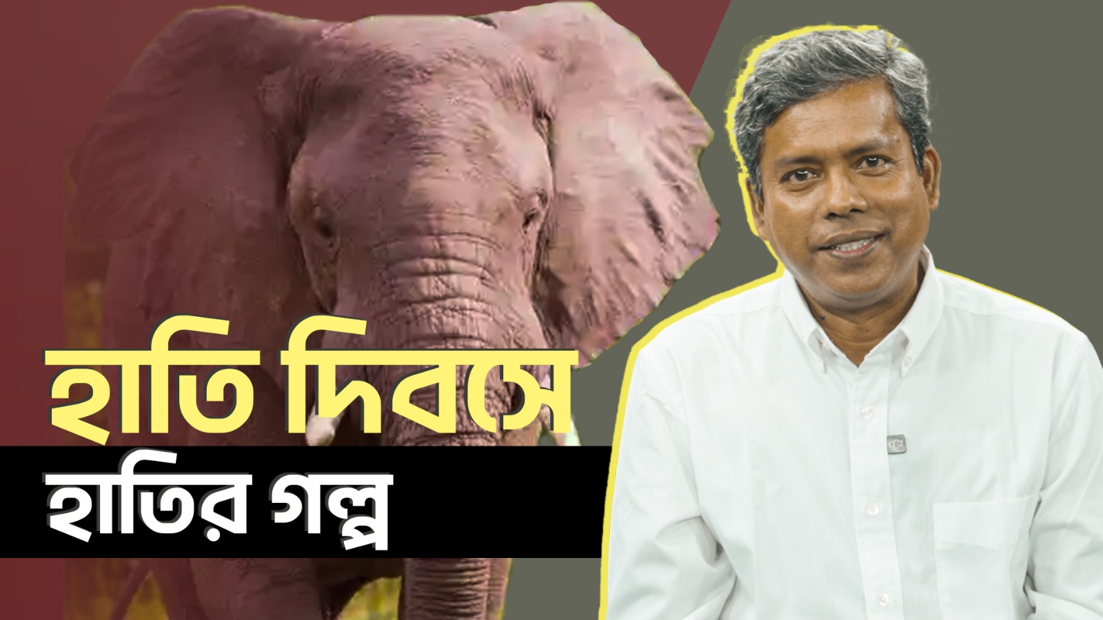 সাতচল্লিশের দিকে তাকানো মানে বাঙালি মুসলমানের উত্থানের দিকে তাকানো: সাঈদ ফেরদৌস