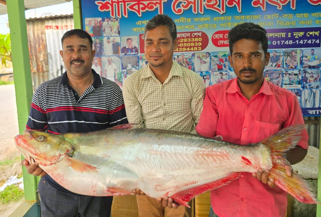 পাংশায় মহাসড়কে র‌্যাব পরিচয়ে পিকআপ ভ্যানের মুরগি ছিনতাই