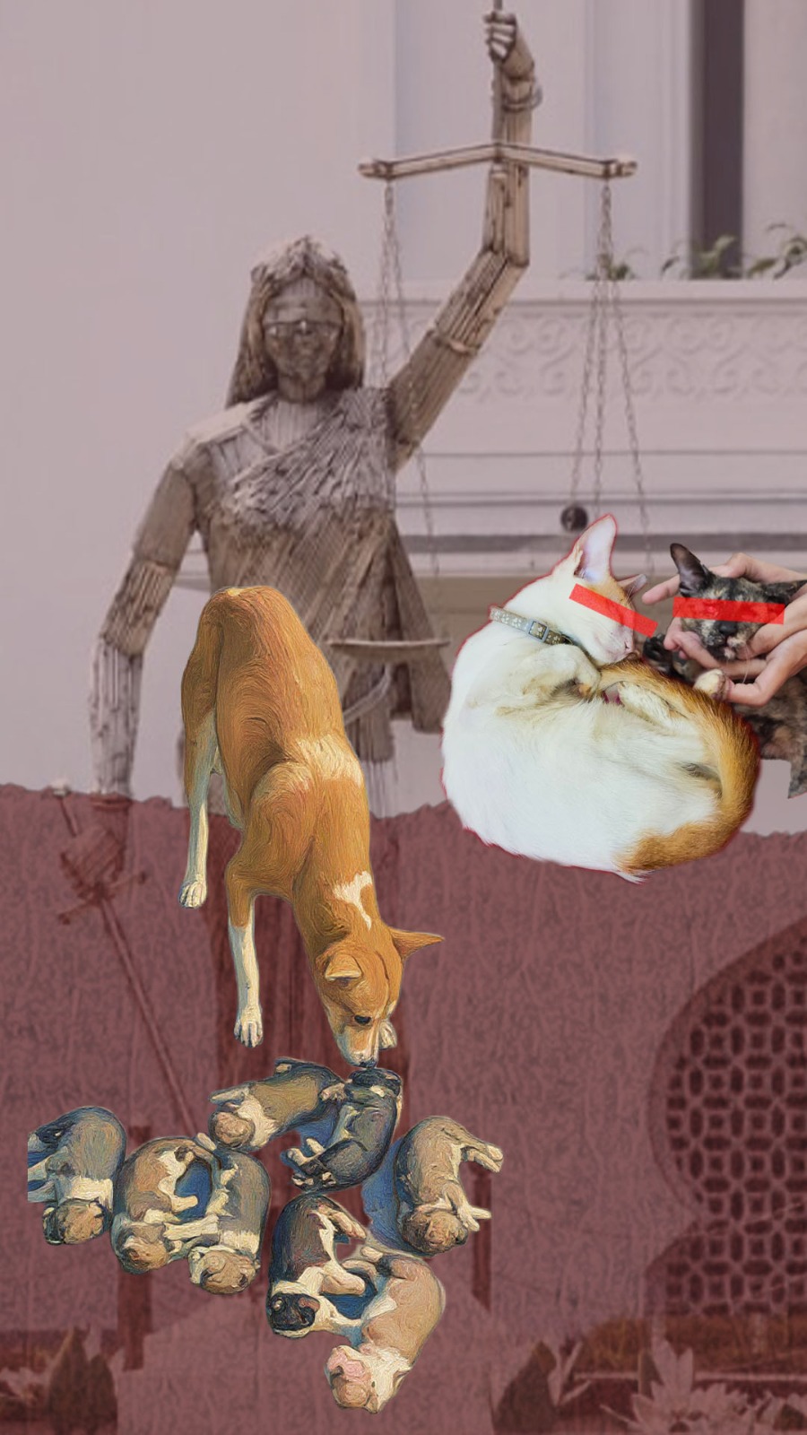 পশু-পাখি হত্যার শাস্তি কী, আইন কী বলে