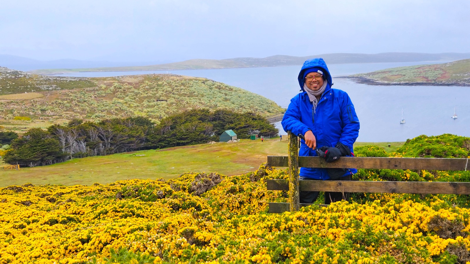 আকাশে অ্যালব্যাট্রস, মাটিতে পেঙ্গুইন: ওয়েস্ট পয়েন্ট আইল্যান্ডে এক দিন