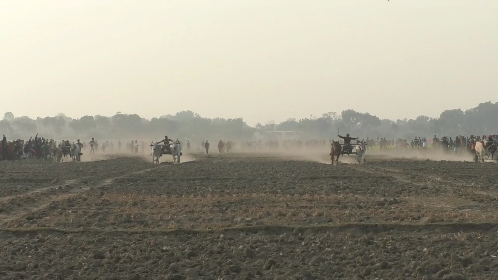 যশোর সদর উপজেলার পাচবাড়িয়া গ্রামে এই ঐতিহ্যবাহী গরুর গাড়ি দৌড় প্রতিযোগিতা আয়োজন করে গ্রামবাসী। সংগৃহীত ছবি