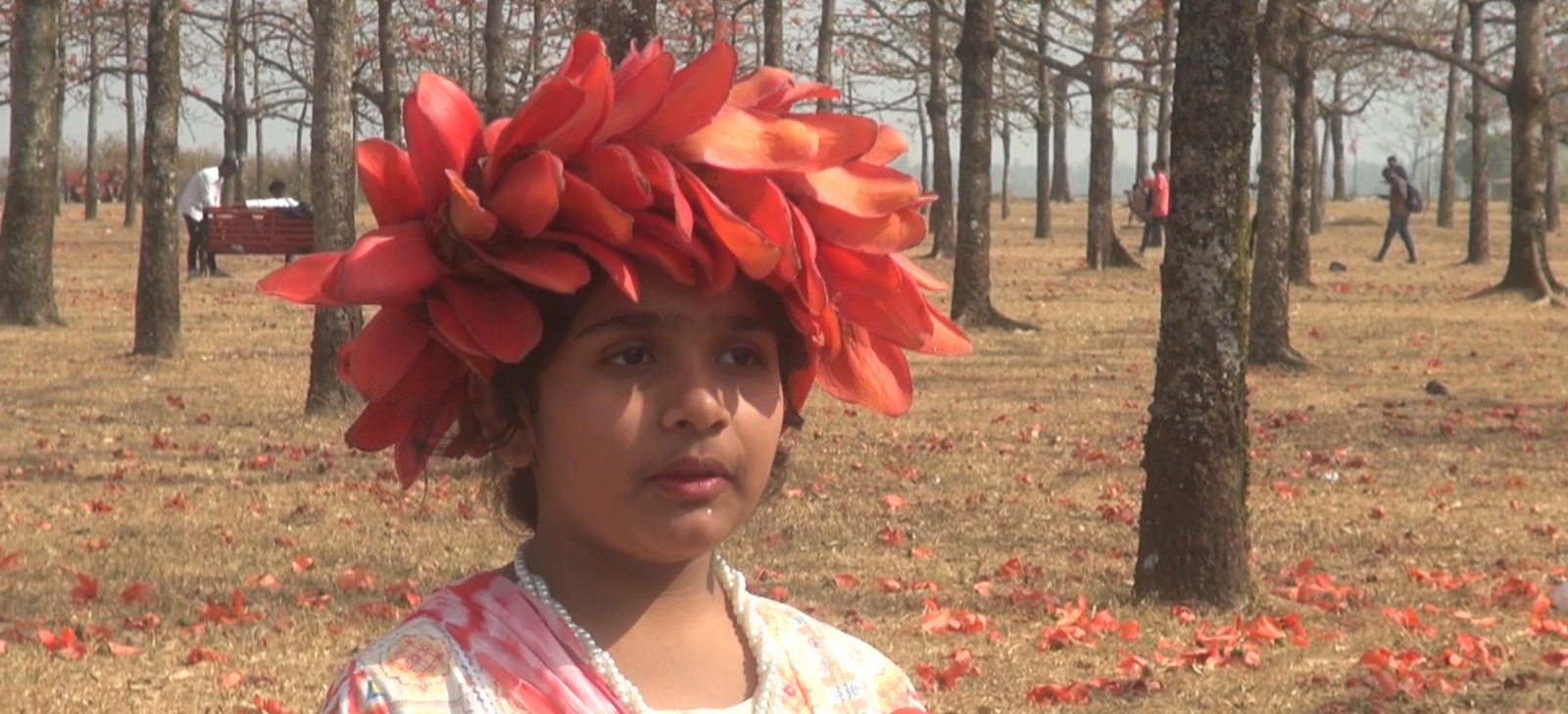 দেশের বিভিন্ন প্রান্ত থেকে প্রতিদিনই ছুটে আসছেন হাজারো দর্শনার্থী। স্ট্রিম ছবি
