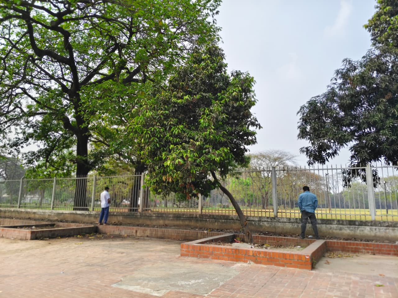 সংসদ ভবনের সামনে প্রকাশ্যে মূত্রত্যাগ করছেন পথচারীরা। স্ট্রিম ছবি