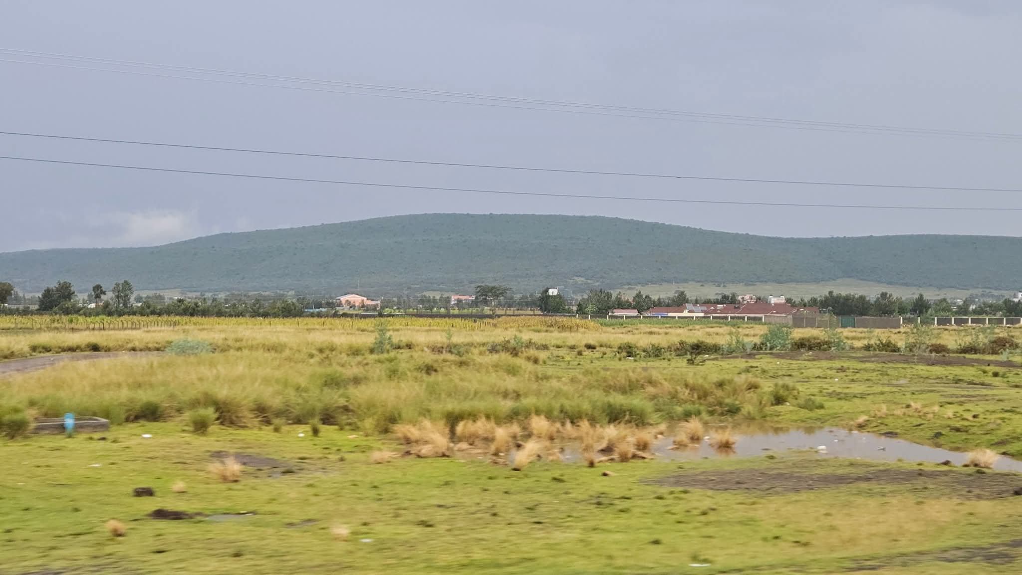 ছবি লেখকের সৌজন্যে