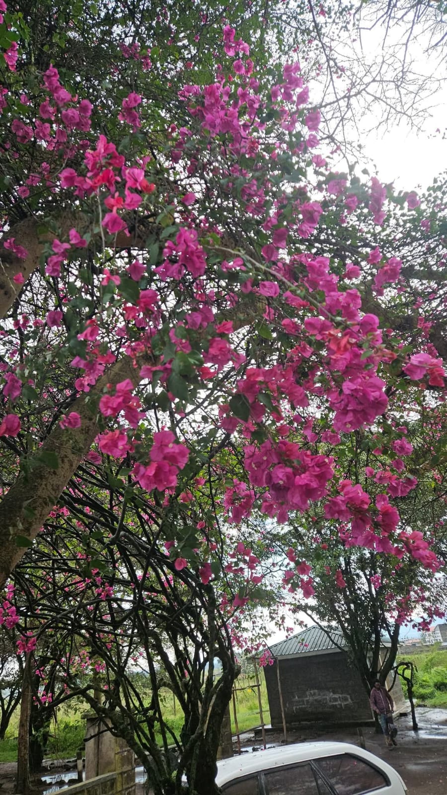 ছবি লেখকের সৌজন্যে