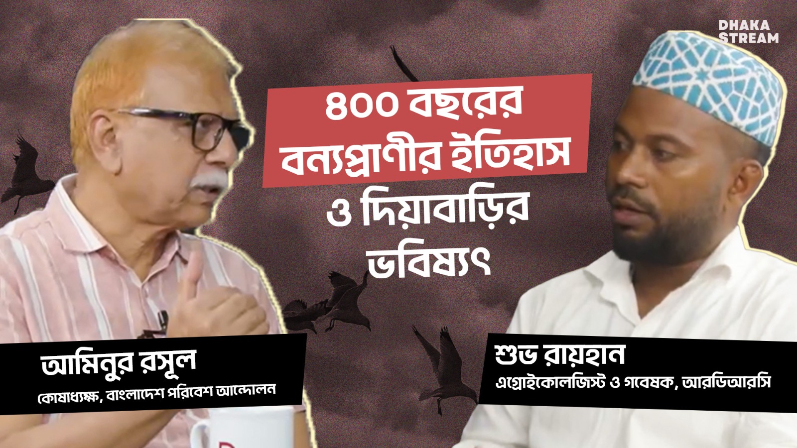 ঢাকার বুকে ৭৯ প্রজাতির পাখি! ৪০০ বছরের বন্যপ্রাণীর ইতিহাস ও দিয়াবাড়ির ভবিষ্যৎ