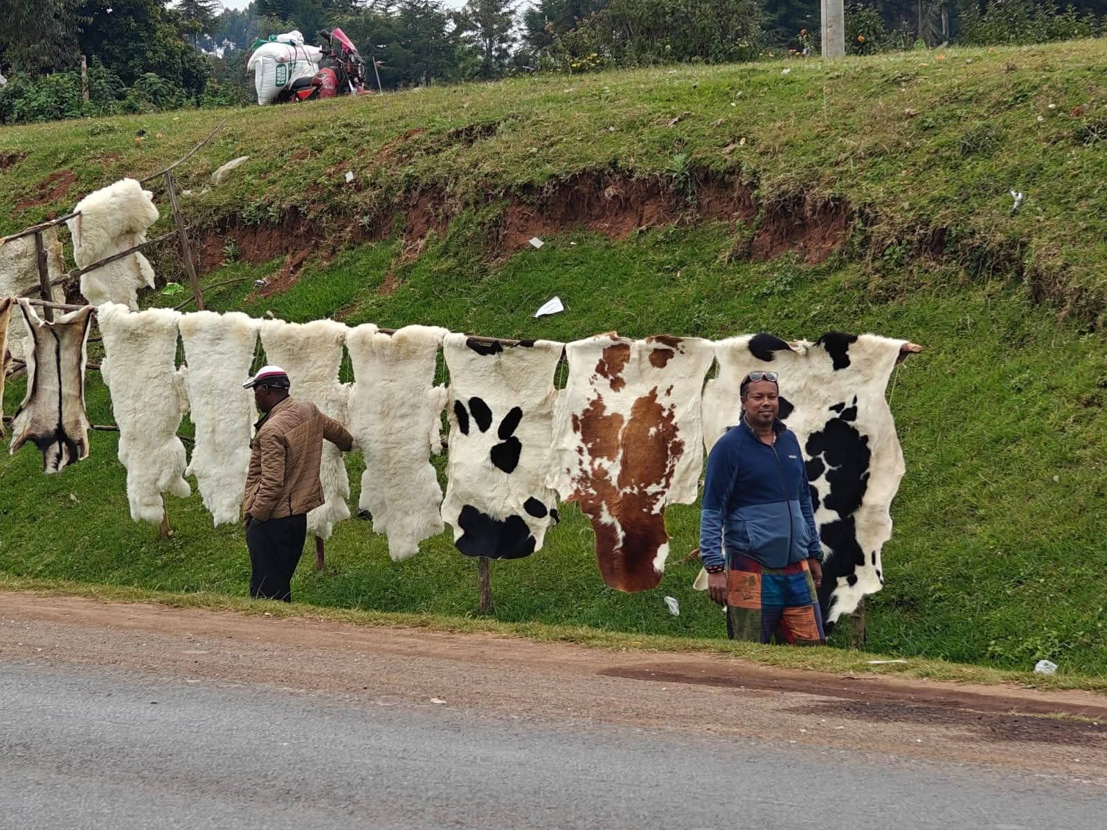 কেনিয়ার নাকুরুর ডায়েরি: গন্ডার, ফ্লেমিঙ্গো আর রঙিন ফুলের শহরে