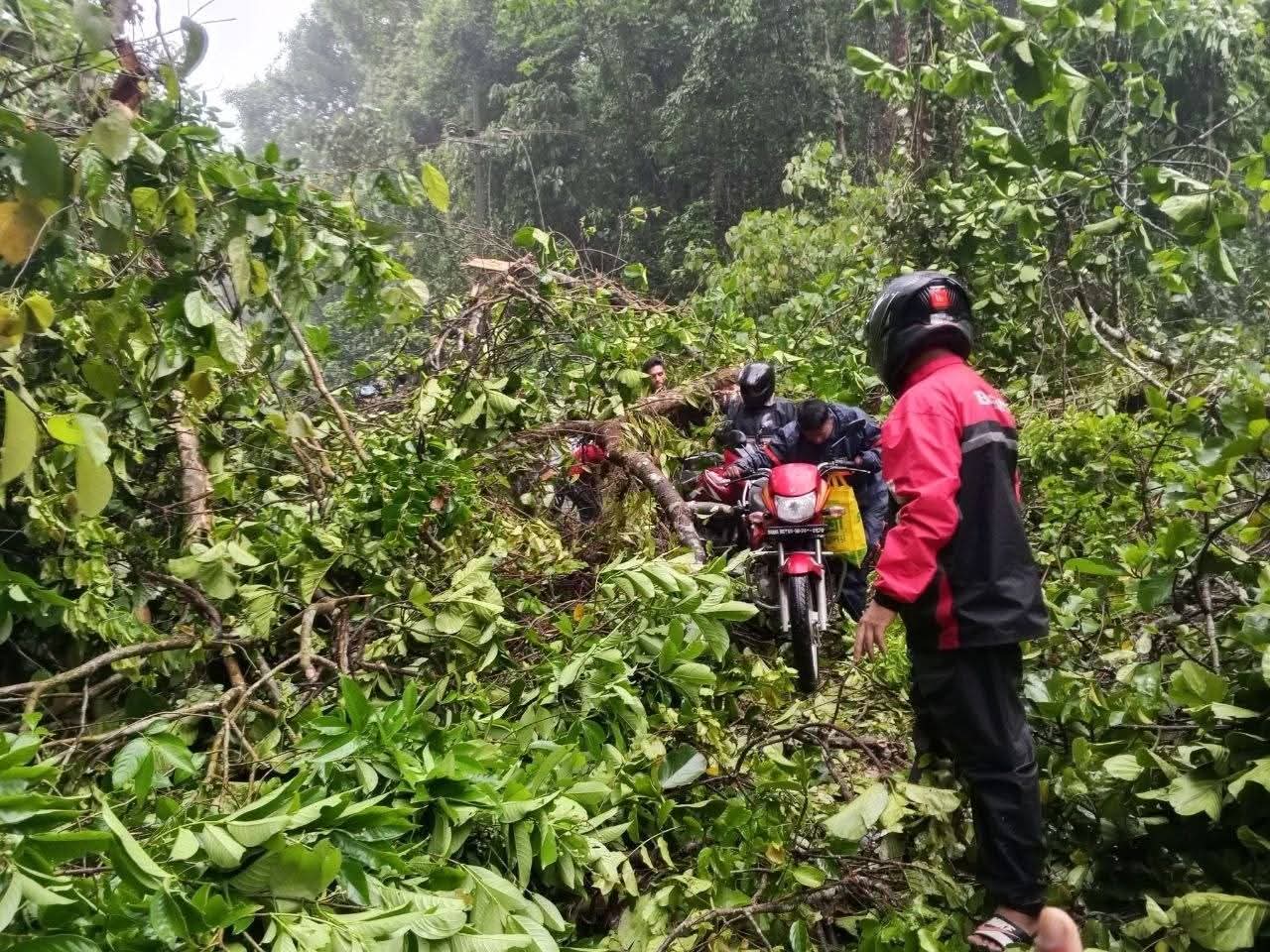 গাছ পড়ে বন্ধ হয়ে গেছে সড়ক, কোনোমতে পার হওয়ার চেষ্টা। স্ট্রিম ছবি