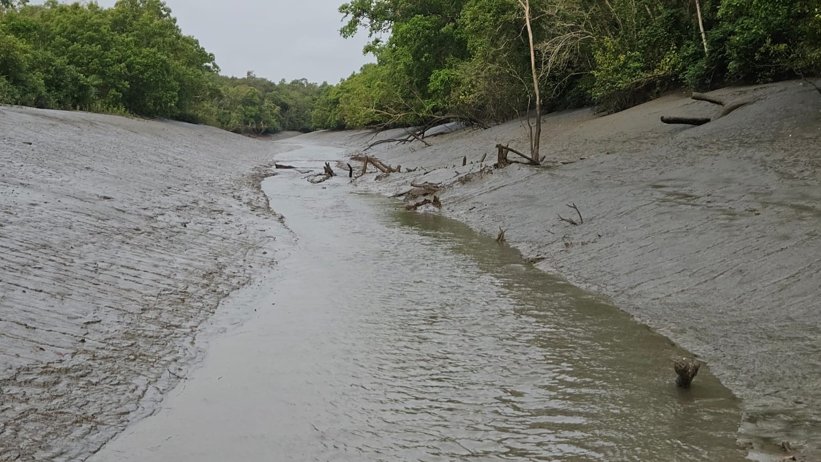 সুন্দরবনের ঢাংমারী। ছবি লেখকের সৌজন্যে
