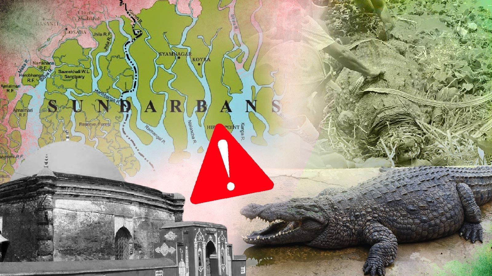 মাজারের কুমির এখন খুলনায়, দীর্ঘমেয়াদী ব্যবস্থাপনা নিয়ে প্রশ্ন