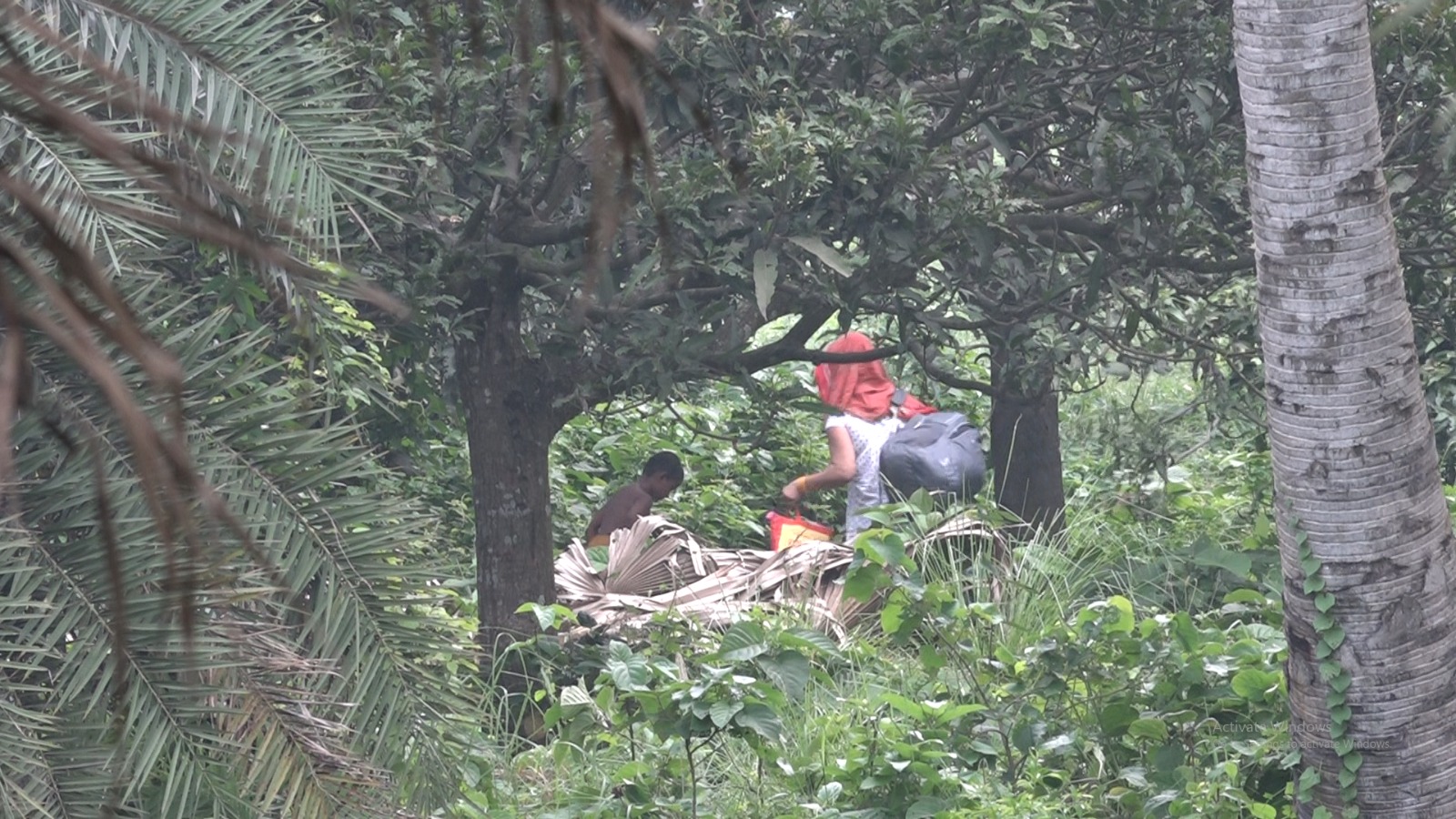 সংগৃহীত ছবি