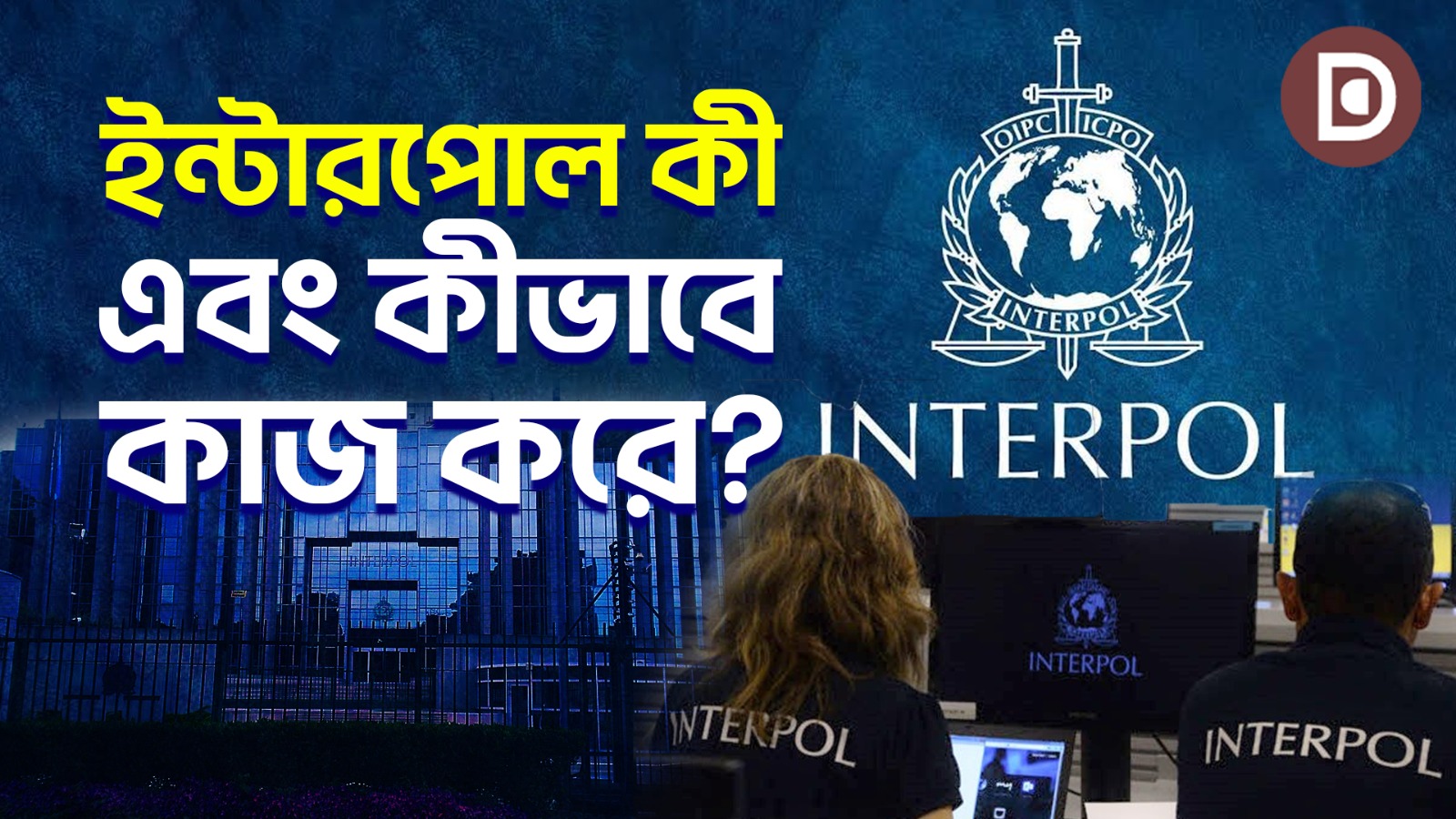ইন্টারপোল কী, কীভাবে কাজ করে