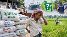 সারের বস্তা কোথায় আটকে আছে? 