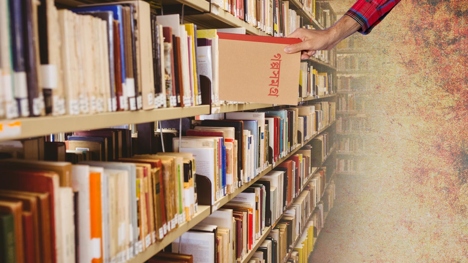 আমার বইচুরি