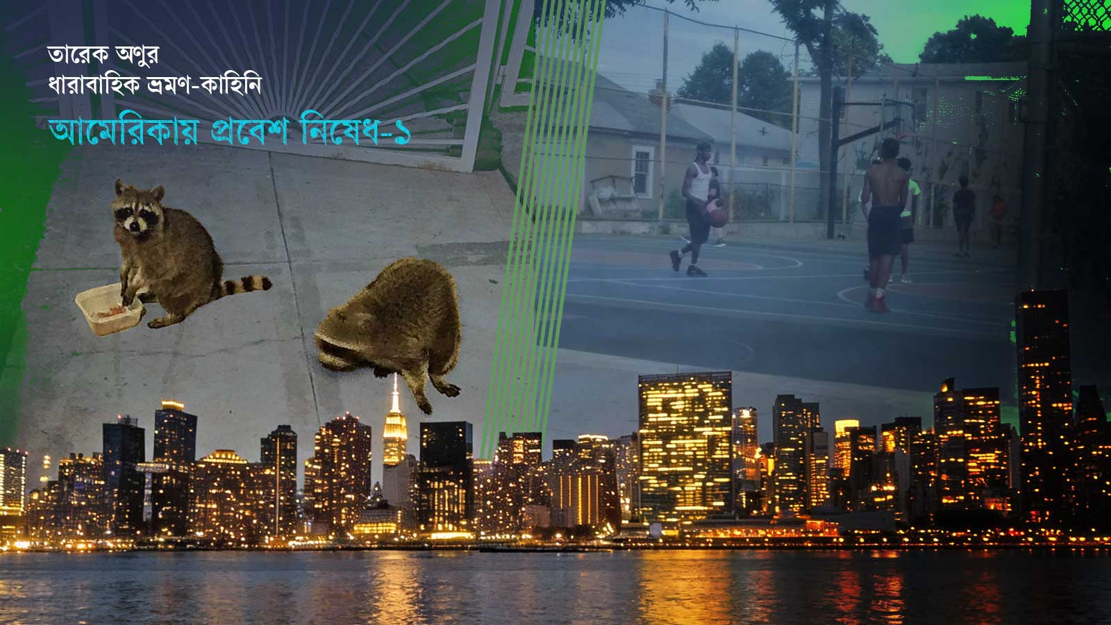 নিউইয়র্কে প্রথম রাত: বিড়াল, র‍্যাকুন আর নির্জন রাস্তা