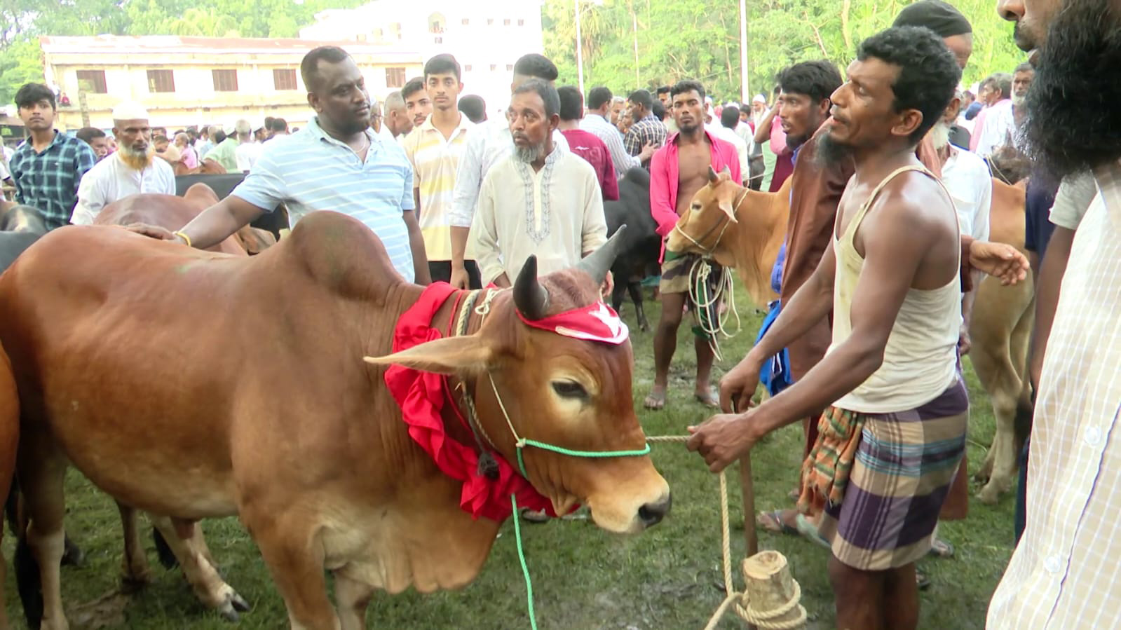 কোনো ব্যক্তি বা প্রতিষ্ঠানের কাছে হাটটি ইজারা দেওয়া হয়নি। ফলে খাজনা আদায়ের সুযোগও নেই। স্ট্রিম ছবি