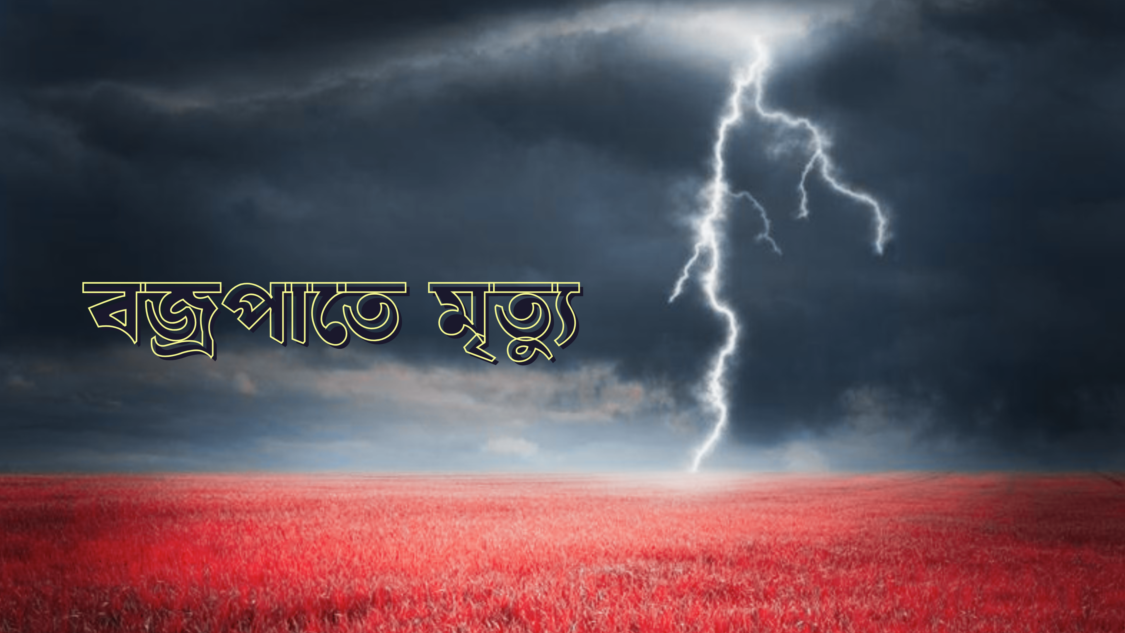 মাঠে গরু আনতে গিয়ে বজ্রপাতে মায়ের সামনে ছেলের মৃত্যু