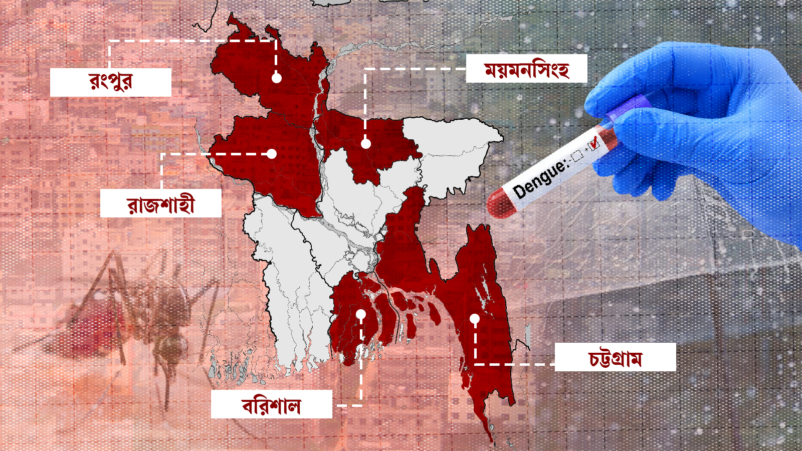 বর্ষায় ঢাকার বাইরে ডেঙ্গু বাড়ার শঙ্কা