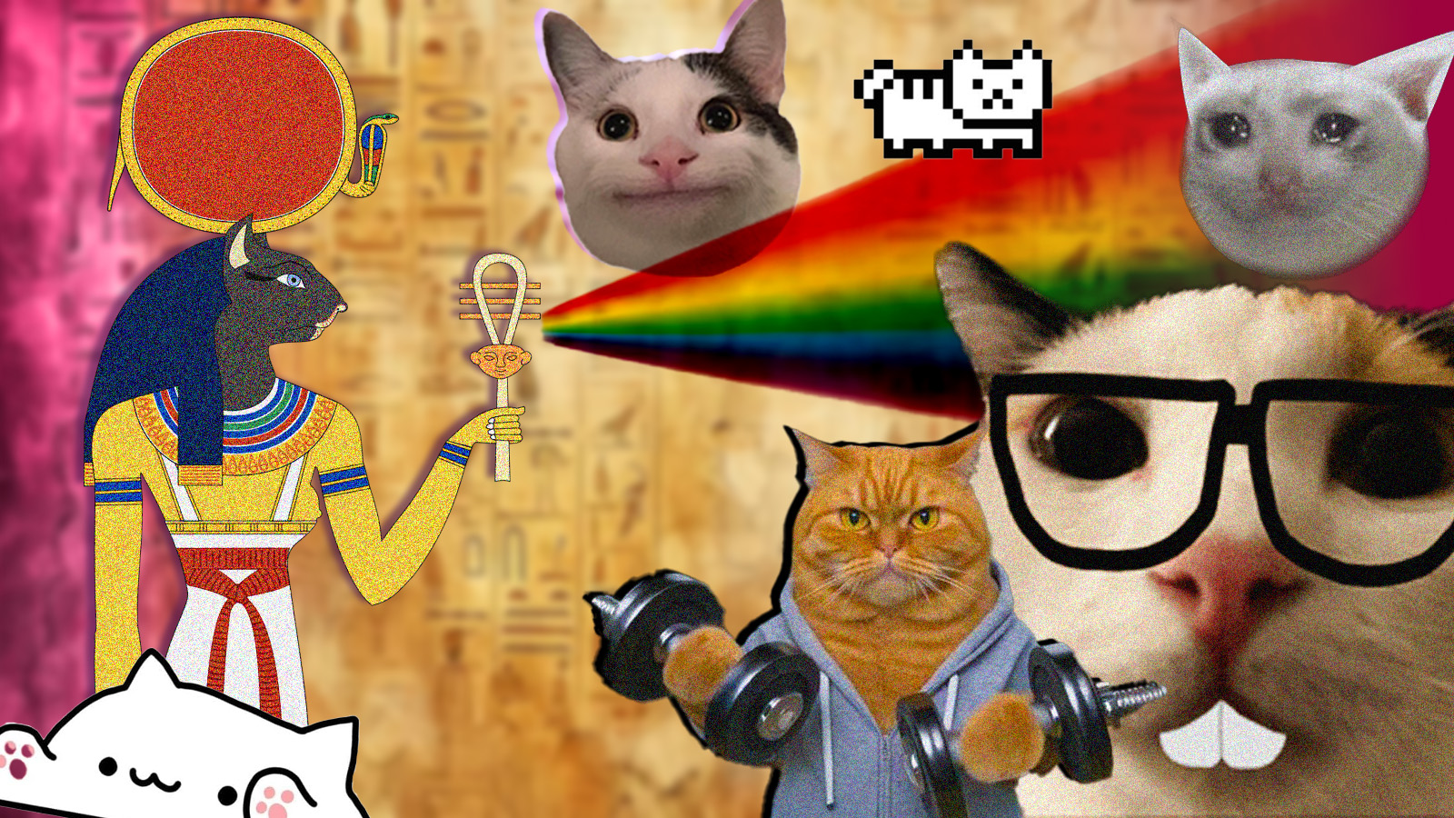 অনলাইন-অফলাইনে বিড়াল নিয়ে মানুষের এত অবসেশন কেন