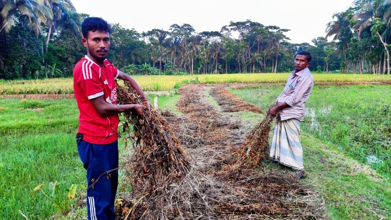 ক্ষতিগ্রস্ত ফসল হাতে কৃষক