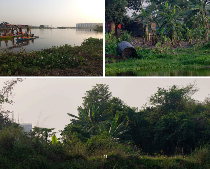 দিয়াবাড়ি এলাকা এখনও অনেক বেশি জীববৈচিত্র্য ধারণ করতে সক্ষম