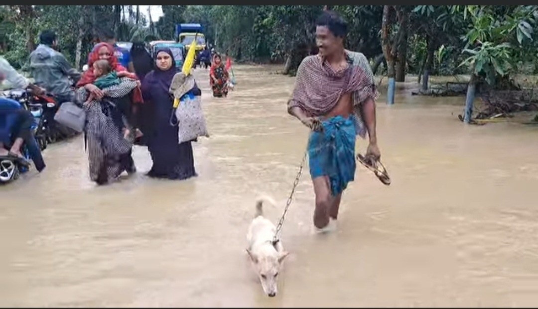 ফেনীতে ডুবছে নতুন জনপদ, দীর্ঘস্থায়ী বন্যার আতঙ্ক