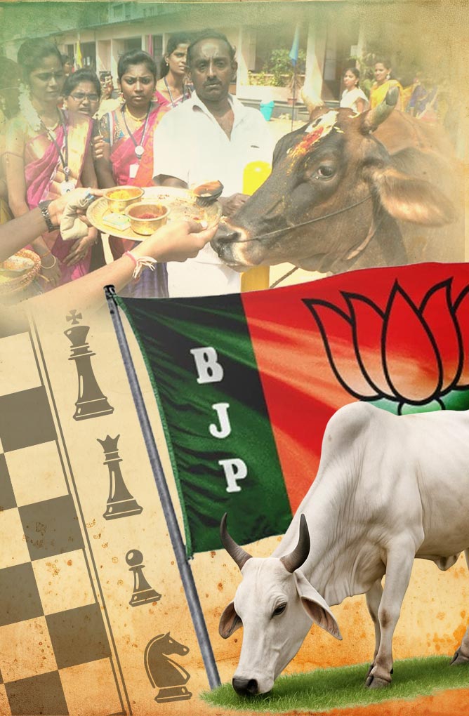 গরু নিয়ে বিজেপির রাজনীতি কোন পথে
