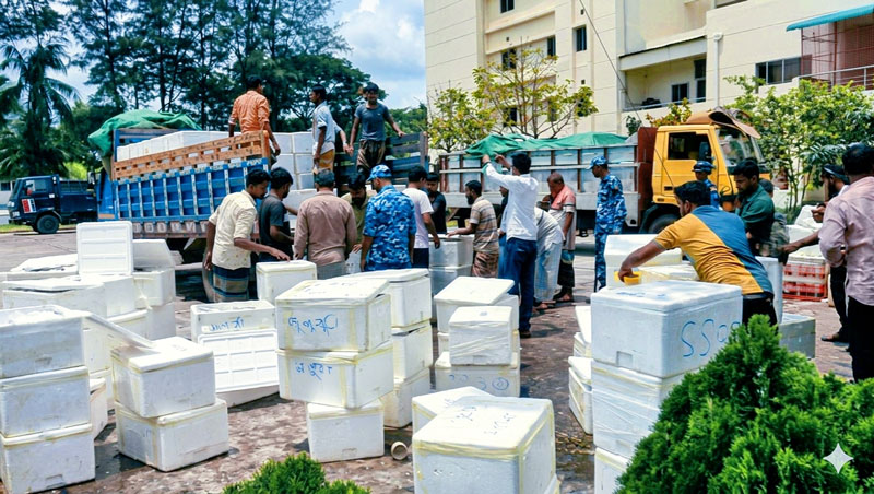 দুই ট্রাক ইলিশ জব্দ করা হয়। স্ট্রিম ছবি