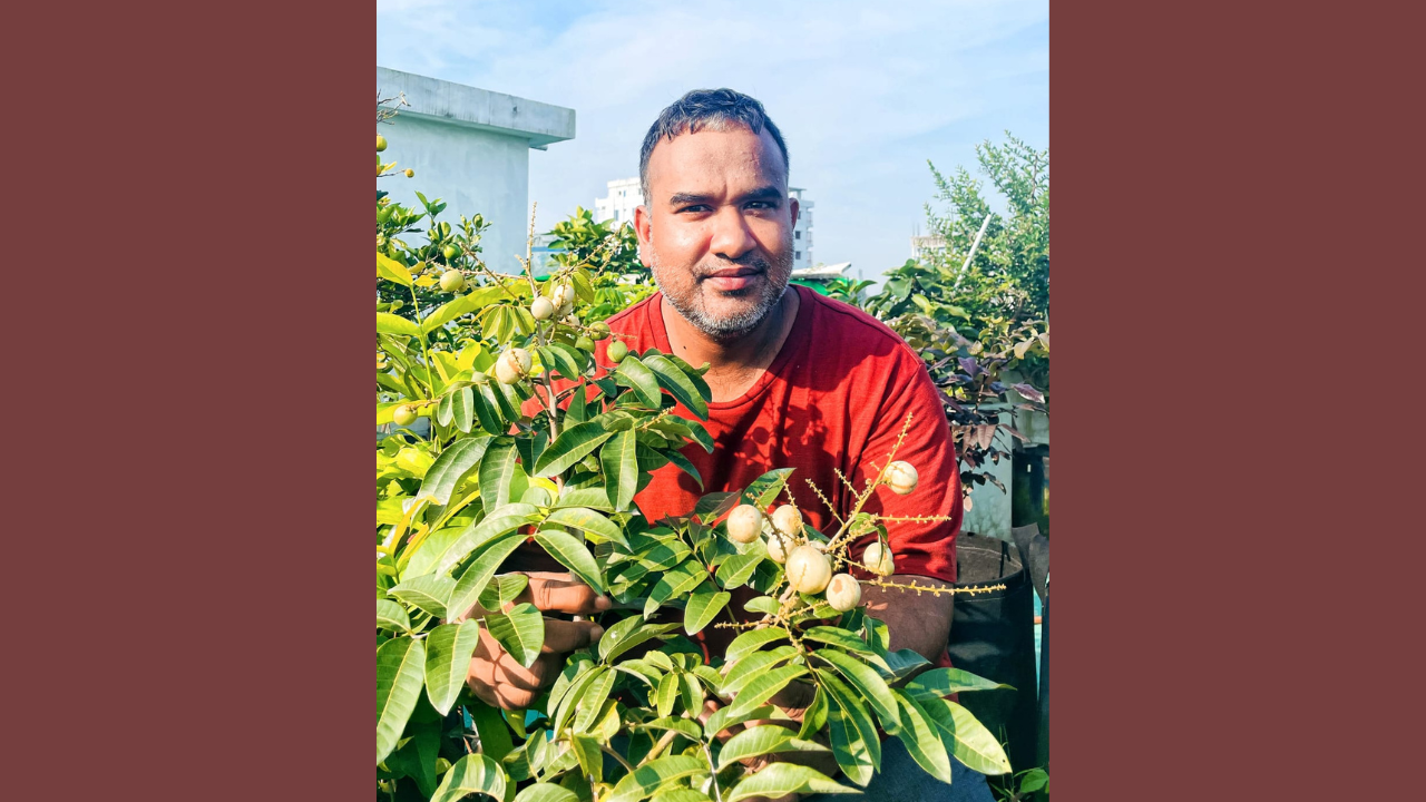 ছাদবাগান। ছবি: লেখকের সৌজন্যে