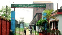 চিনিতে লোকসান, তবু কেরুর রেকর্ড মুনাফা