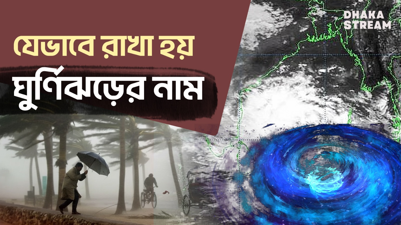 ভারতের অন্ধ্রপ্রদেশে ঘূর্ণিঝড় মোন্থার প্রভাবে গাছ উপড়ে এক নারীর মৃত্যু, বাংলাদেশের পরিস্থিতি কী