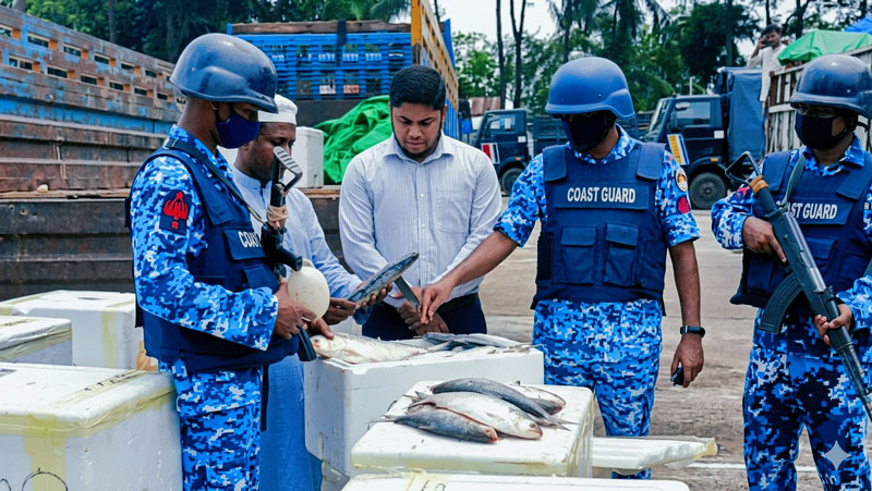 তল্লাশির পর মাছগুলো ‘সাগরের ইলিশ’ বলে শনাক্ত করেন সদর উপজেলা মৎস্য কর্মকর্তা