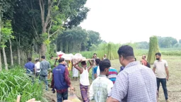 কবর খুঁড়ে দরবারে নেওয়া পীর শামীমের দেহাবশেষ ফের গোরস্তানে, জড়িতদের খুঁজছে পুলিশ