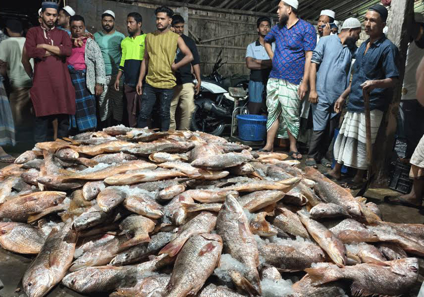 ধরা পড়া মাছের সংখ্যা ১ হাজারেরও বেশি