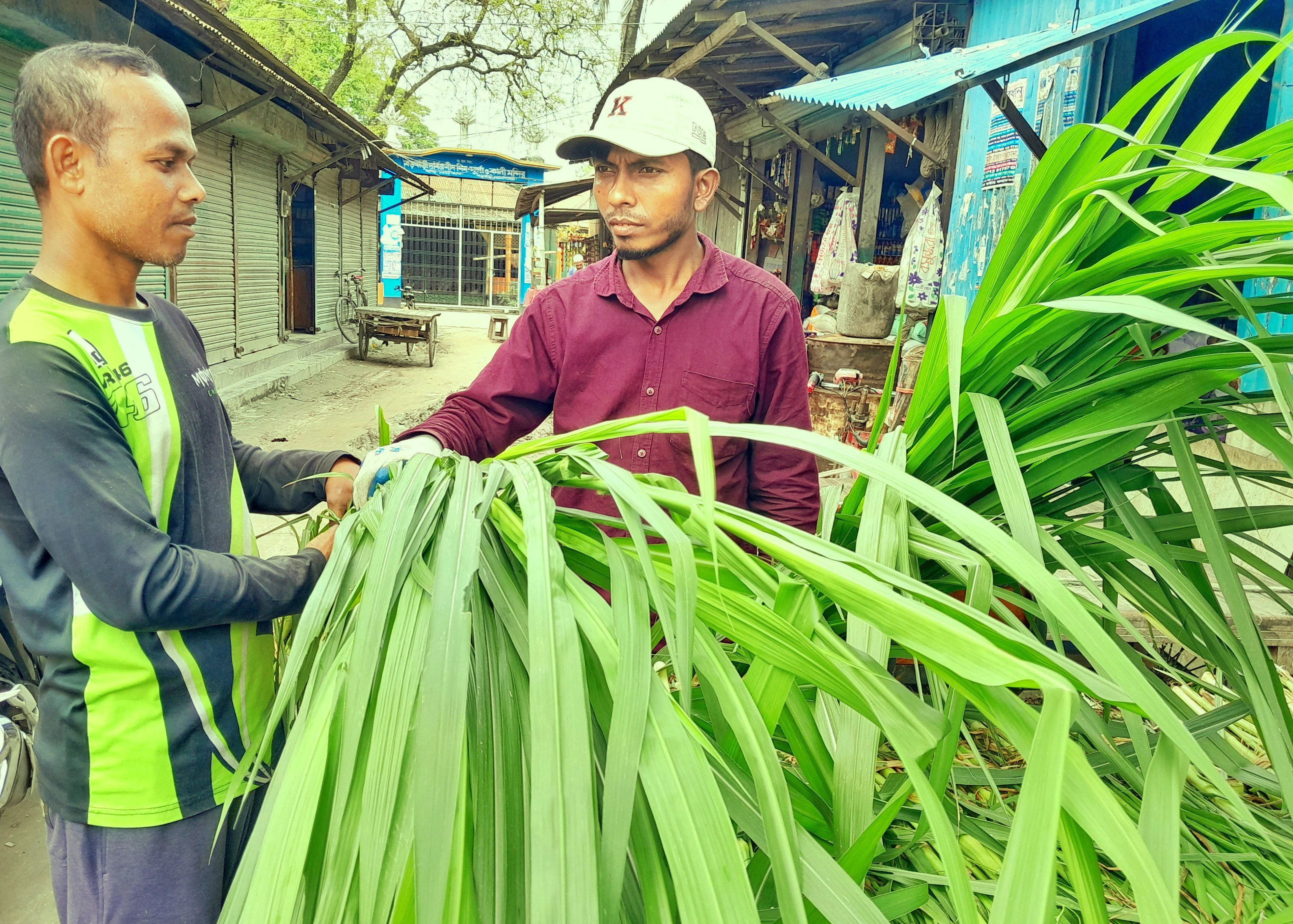 ‘সাইবার সুরক্ষা অধ্যাদেশ’ অনুমোদন: ইন্টারনেটকে মৌলিক অধিকারের স্বীকৃতি