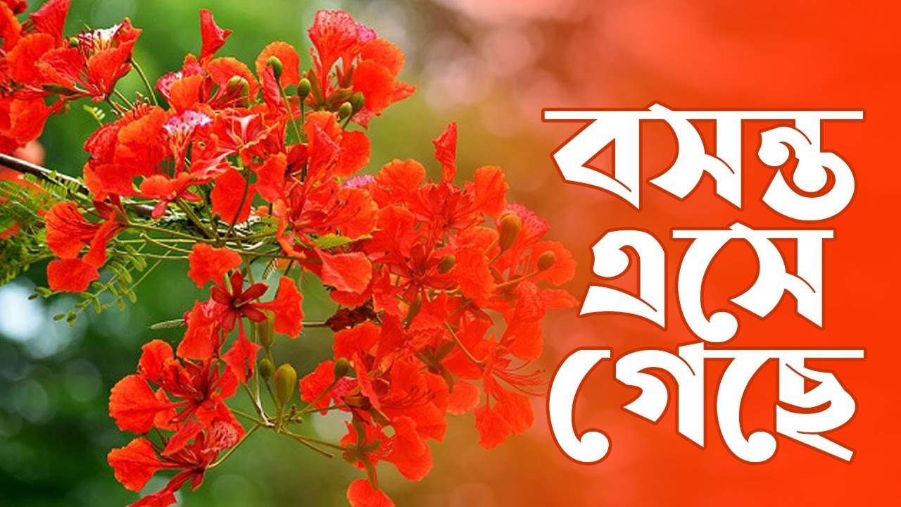 বসন্তে মনের রসায়ন, বলে দিন ‘ভালোবাসি’