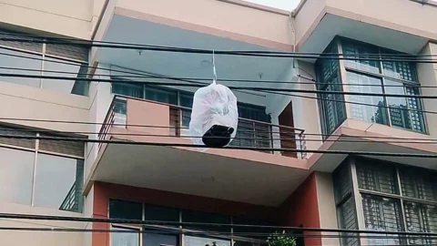 মেহেরপুর শহরের বিভিন্ন স্থানে বৈদ্যুতিক খুঁটির তারে ঝুলানো বোমাসদৃশ বস্তু ঘিরে আতঙ্ক দেখা দেয়। স্ট্রিম ছবি