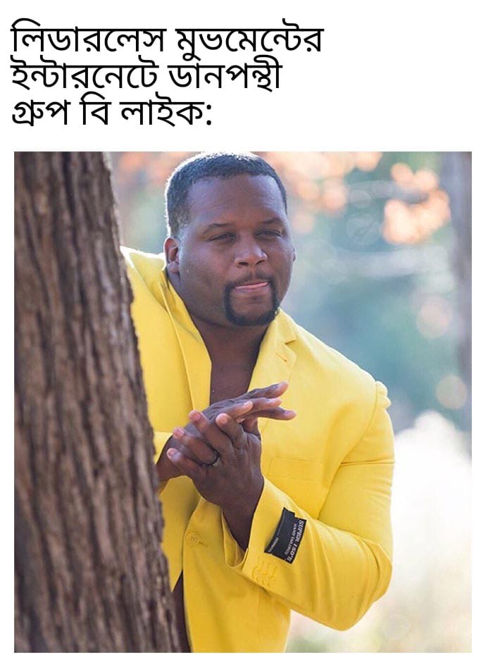 ইন্টারনেটে থাকা একটি জনপ্রিয় মিমের টেমপ্লেট। সংগৃহীত ছবি