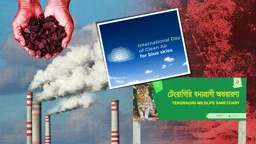সংরক্ষিত বনের পাশে কয়লার বিদ্যুৎ, দূষণ মাপার হিসাব নেই তালতলীতে