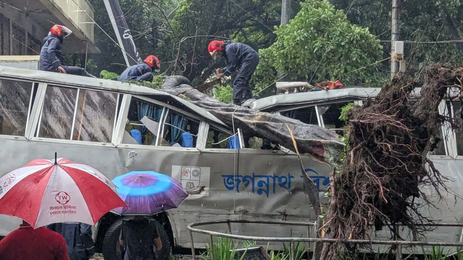 ফায়ার সার্ভিসের কর্মীরা গাছ কেটে বাসটিকে অন্য স্থানে সরিয়ে নেন। ছবি: সংগৃহীত