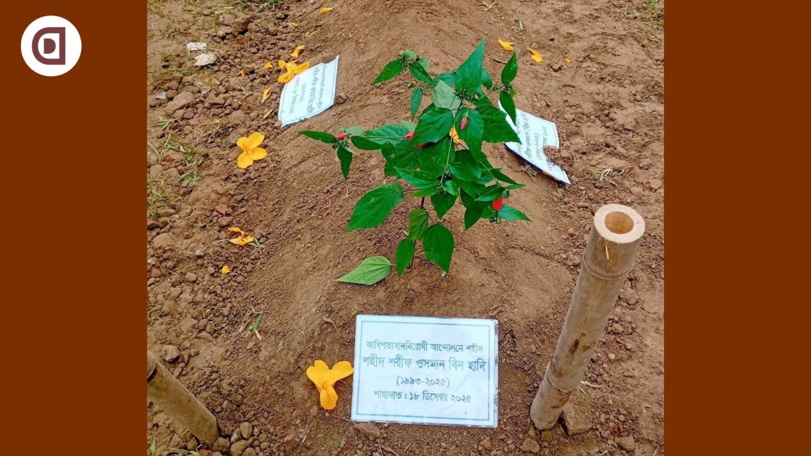 জাতীয় কবির পাশে চিরনিদ্রায় শায়িত ওসমান হাদি