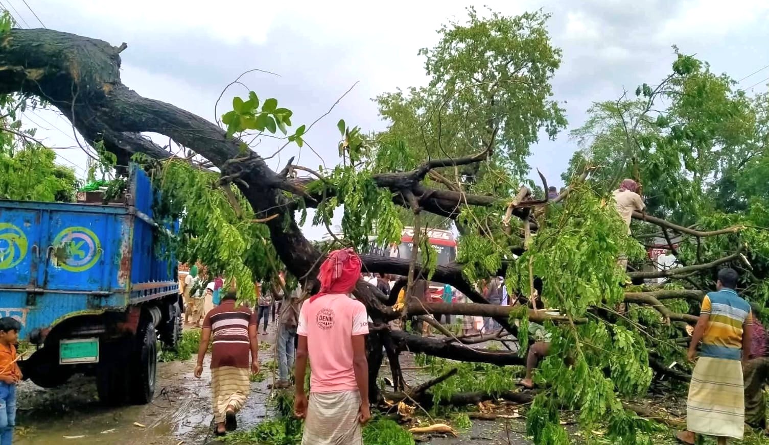 পাবনায় মহাসড়কে ভেঙে পড়েছে ১৫টি গাছ, বজ্রপাতে কৃষকের মৃত্যু