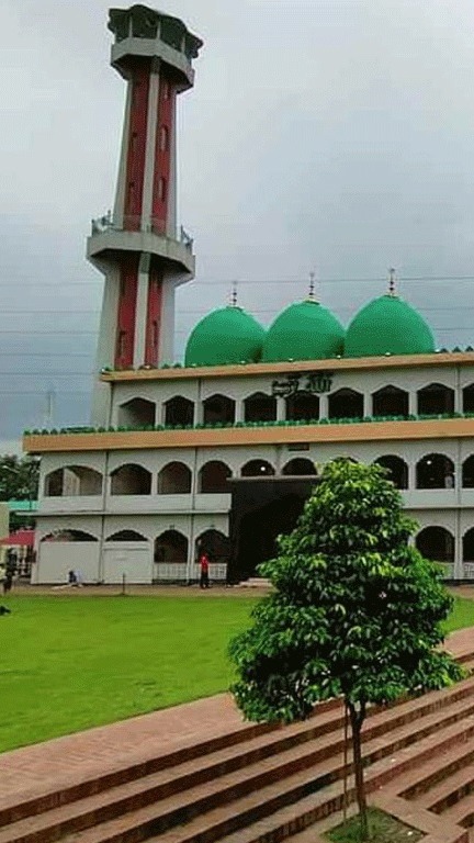 কোথায় যায় পাগলা মসজিদের দানের টাকা