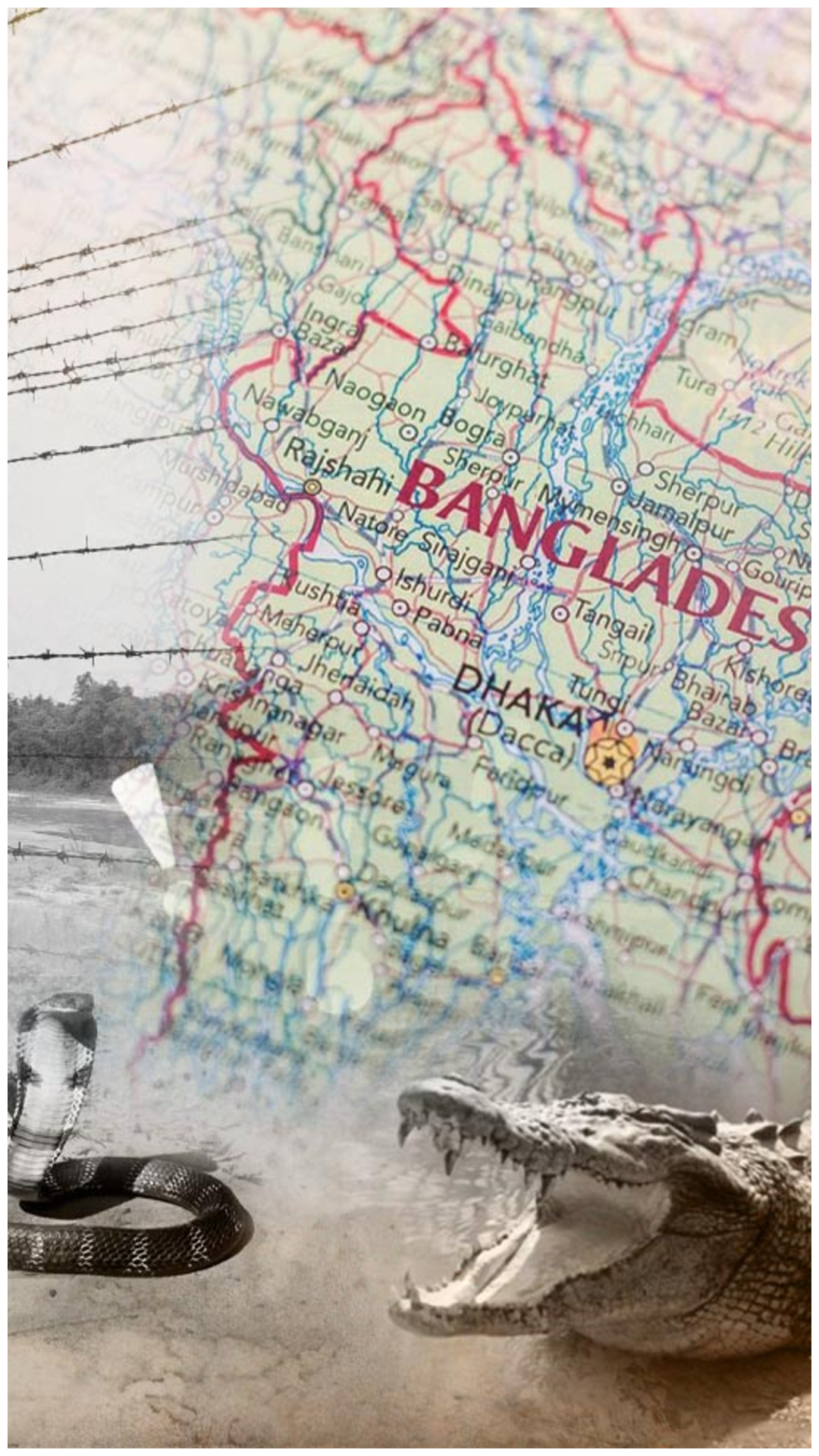 ভারত কেন বাংলাদেশ সীমান্তে সাপ-কুমির ছাড়তে চাচ্ছে