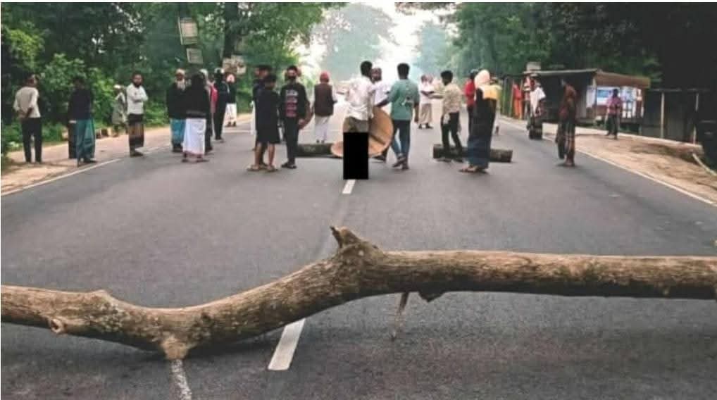 ফরিদপুরে বৃহস্পতিবার সকলে সড়কে গাছ ফেলে অবরোধ। স্ট্রিম ছবি