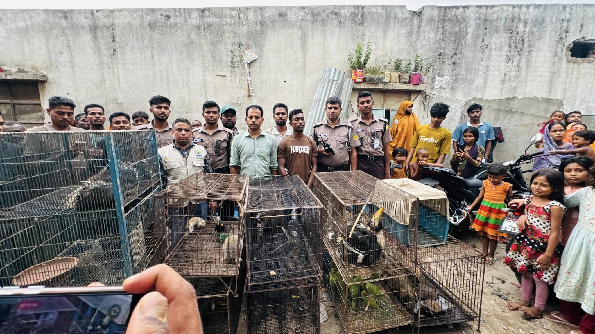 মিরপুরের গোদাম থেকে উদ্ধার হওয়া পাখি-প্রাণী। সংগৃহীত ছবি