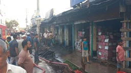 বোলতার চাক নষ্ট করতে দেওয়া আগুনে পুড়ল দোকান-বসতঘর
