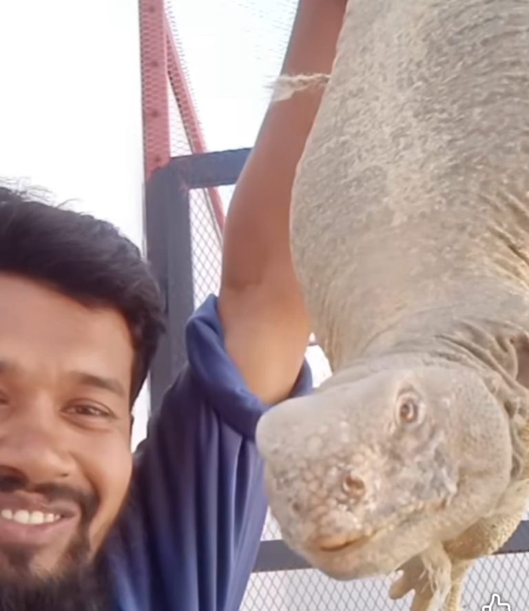 সান্ডা (1)